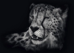 Sestavljanka Hitrost geparda 1000 koščkov SCHMIDT