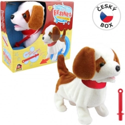 Kuža Besinka s piščalko