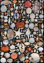 Sestavljanka S plaže 1000 koščkov PIATNIK