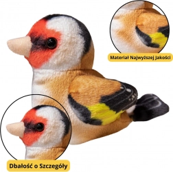 Majhna plišasta ptička Modra Sinica