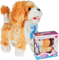 Daljinsko voden kužek