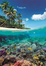 Sestavljanka Poletni raj 1000 koščkov Clementoni