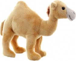 Plišasti dromedar 20 cm