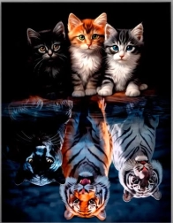 Diamantno slikanje – mačke in zveri 30 × 40 cm