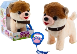 Interaktivni pes na vrvici