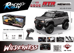 RC avto Wilderness 1:10 sivo