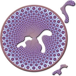 Curiosi okrogle mini sestavljanke Picoli Body, 33 koščkov