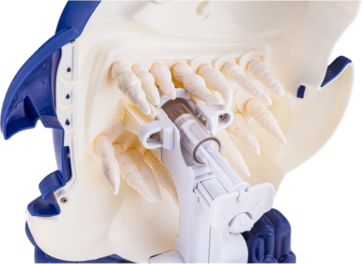 Spring mechanism and detailed teeth for a dexterity challenge