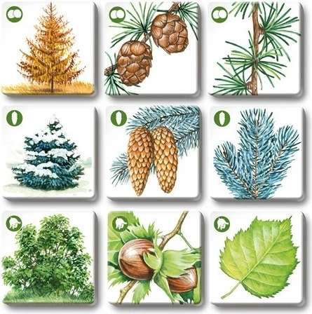 Lepe realistične ilustracije za boljše pomnjenje