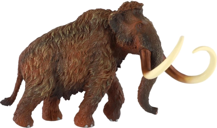 Verodostojna tekstura in barvanje