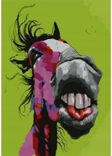 Norimpex Malovanje po številkah Crazy Horse 40 × 50 cm