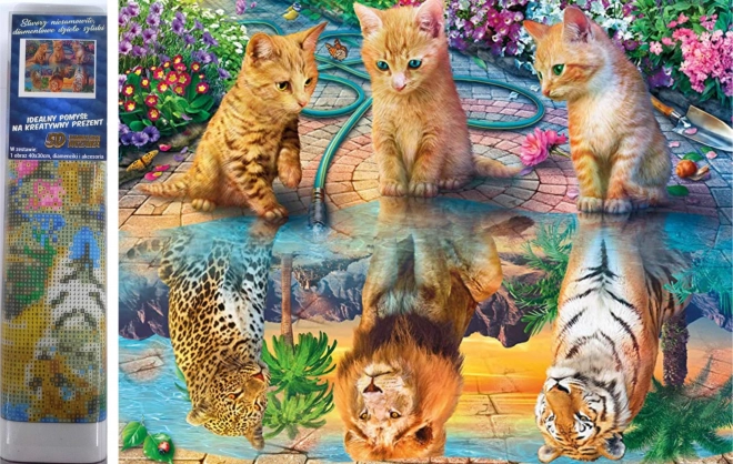 Norimpex diamantno slikanje Mačje sanje 30x40 cm