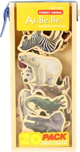 Magnetno učenje in kreativna igra