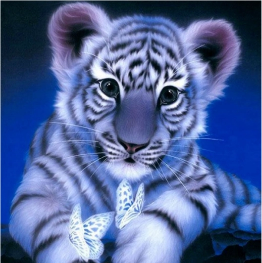 Diamantno slikanje – snežni tigerček 30 × 30 cm
