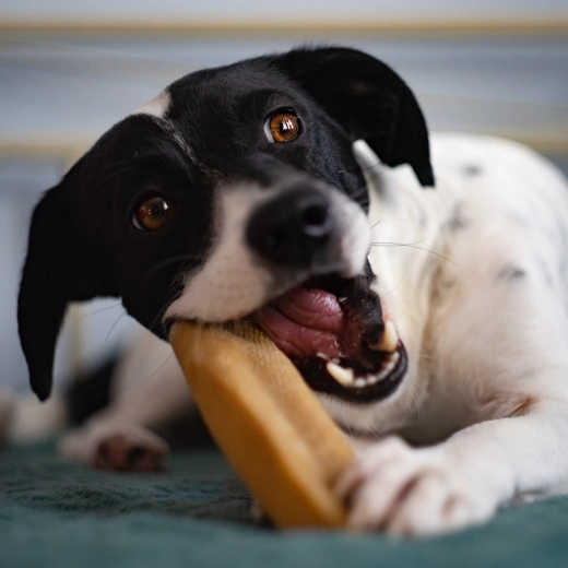Trd priboljšek za bolj zdrave zobe