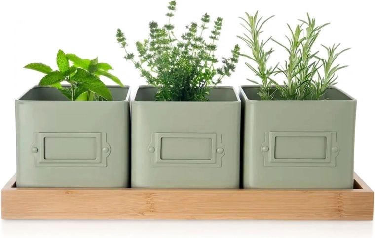Komplet cvetličnih lončkov za zelišča GREENISH s stojalom, 3 kosi