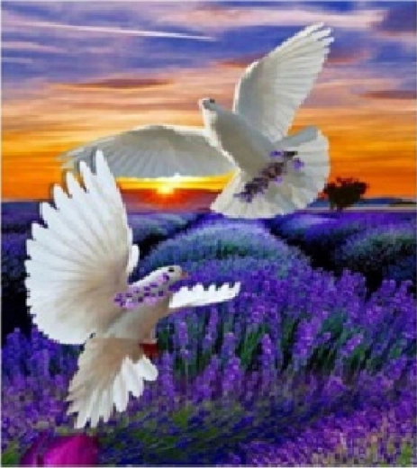 Norimpex diamond painting dove of peace 30 × 40 cm