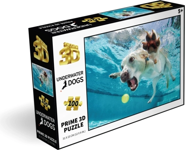 100 kosov za pametno zabavo