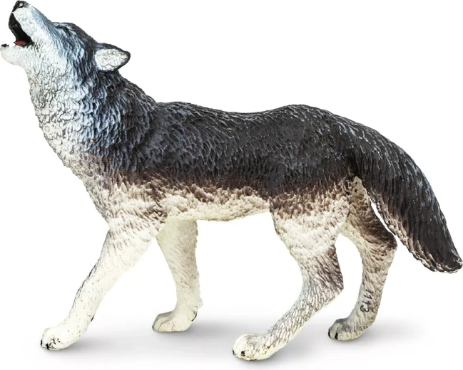 Grey Wolf Safari Ltd.
