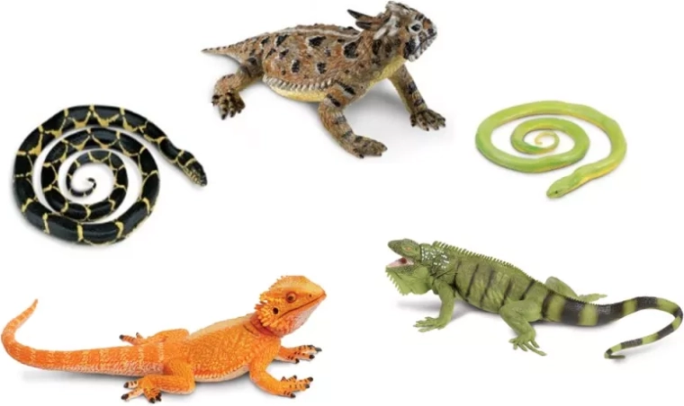 Safari Ltd. kače in kuščarji – komplet 5 figuric