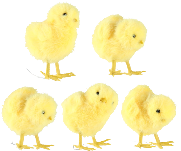 Komplet 10 kosov v 5 dizajnih