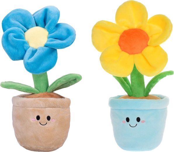 Vesele barve in prikupen dizajn