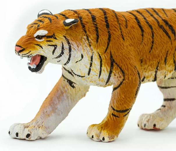 Learning through play about nature and animal protection
