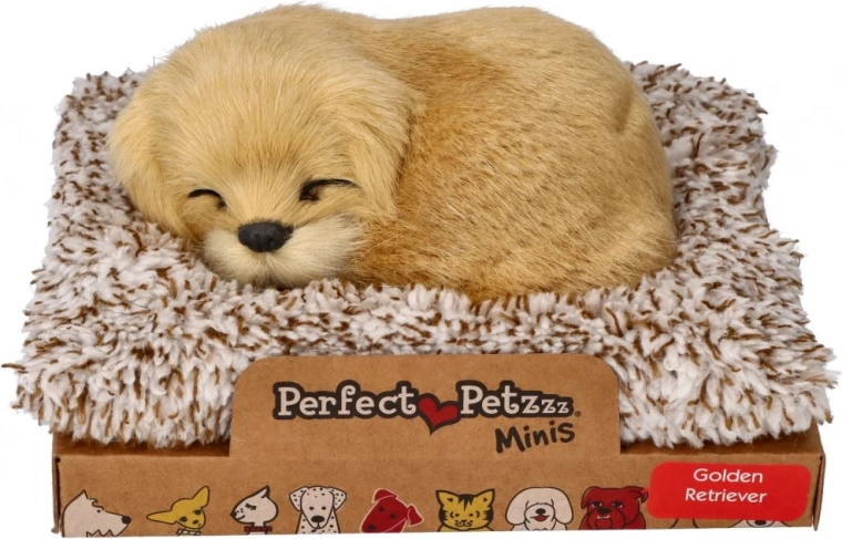 Lajajoči zlati prinašalec na ležišču