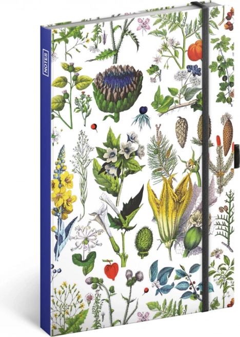 Črtasti zvezek Zelišča Kateřine Winterové 13 × 21 cm