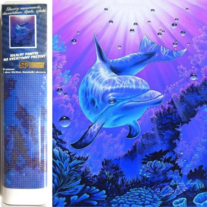 Komplet za diamantno slikanje – delfin
