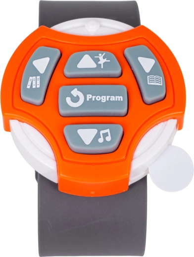 Watch control 2.4 GHz