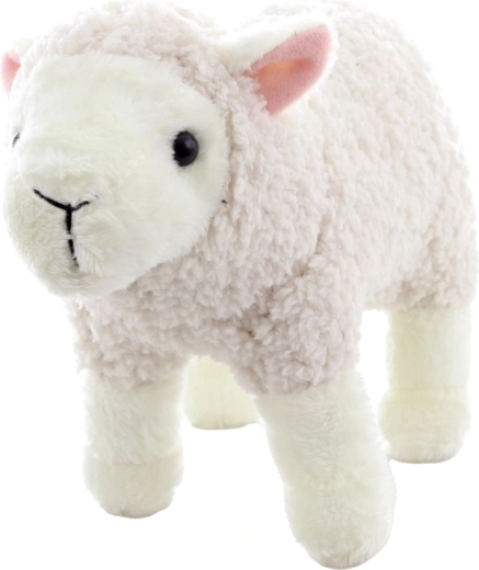 Lahka in priročna za dom in potovanja