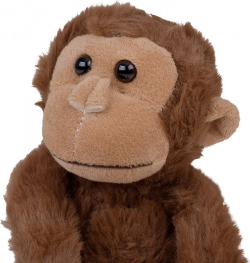 Mehak in kakovosten pliš