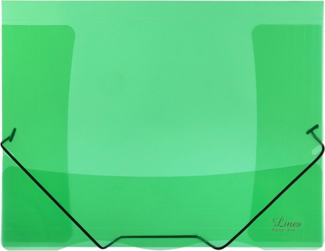 Mapica z elastiko prozorna zelena Lines