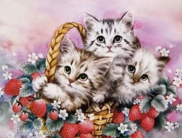 Norimpex diamond painting Kittens in a Basket 30 × 40 cm