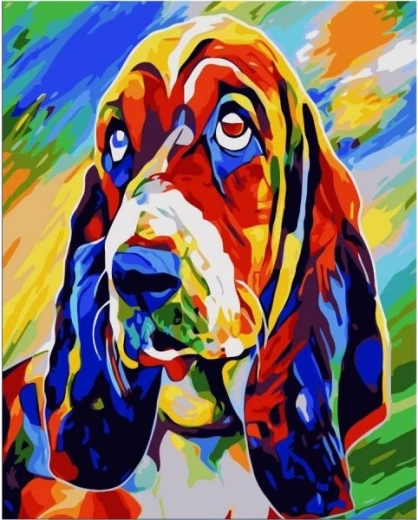 Slika za barvanje po številkah na okvirju 40 × 50 cm – basset hound (barvit pes)