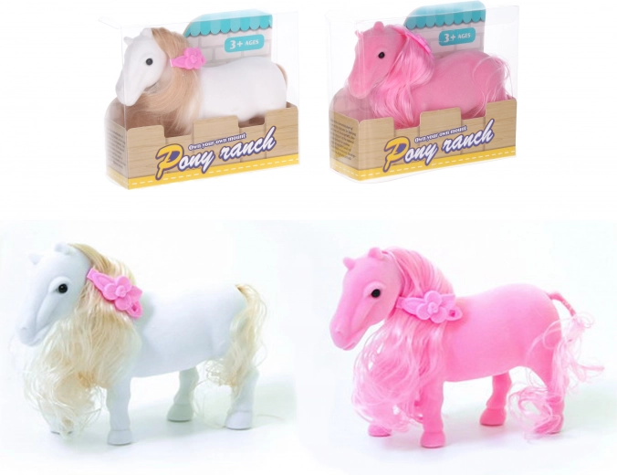 Konj z okrasno sponko