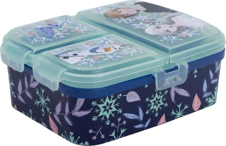 Stor XL snack box with compartments – Frozen