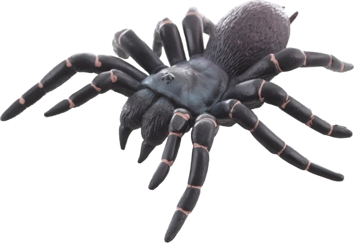 Idealna za učenje in dekoracijo