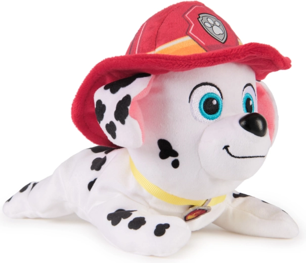 Zvest gasilski videz iz Paw Patrol