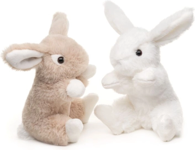Two colors: white or beige