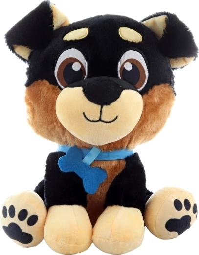 Varni izvezeni detajli