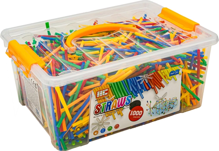 Practical case for storage and carrying