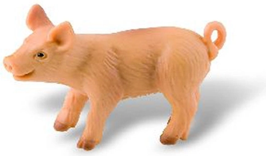 Prašiček