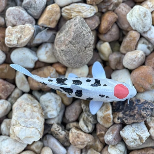 For play, learning, and collecting