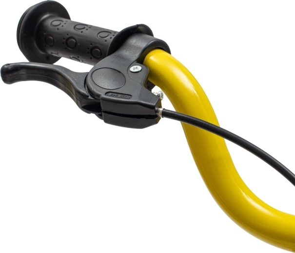 Varno upravljanje s sprednjo zavoro in ležaji