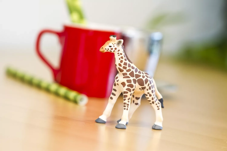 Learning through play and imagination development
