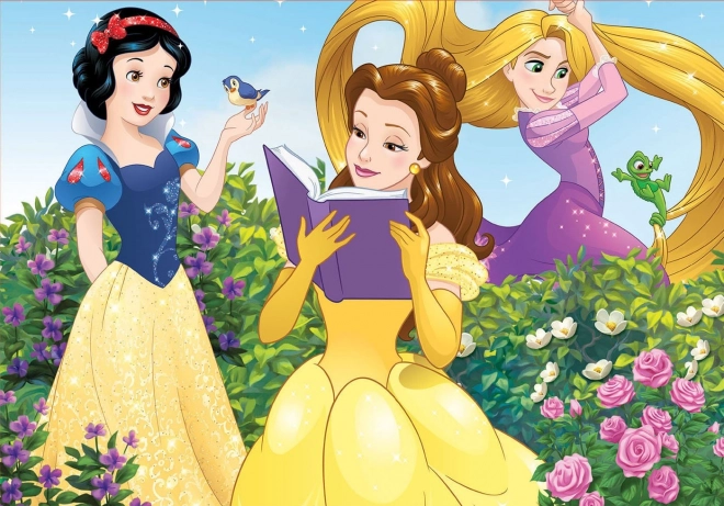Educa sestavljanka Disney princese 100 kosov