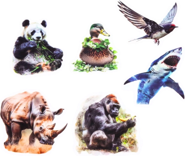 Prosojno ozadje za čist videz