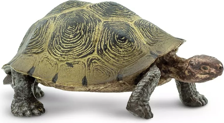 Safari Ltd. Desert Tortoise Figure